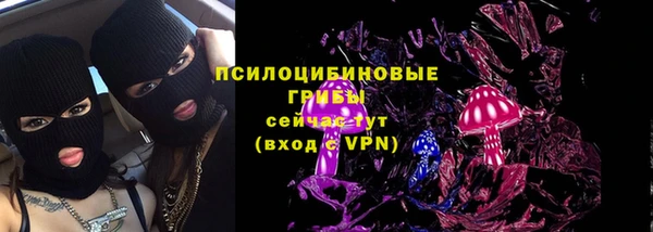 гашик Лиски