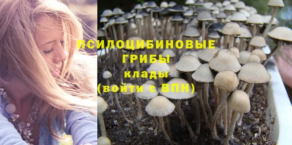 гашик Лиски