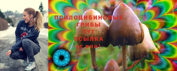 прущая мука Лагань