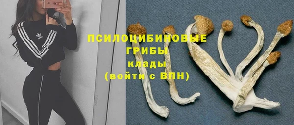 прущая мука Ладушкин