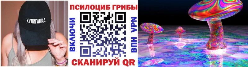 Купить закладки  Кохма  Псилоцибиновые грибы прущие грибы 